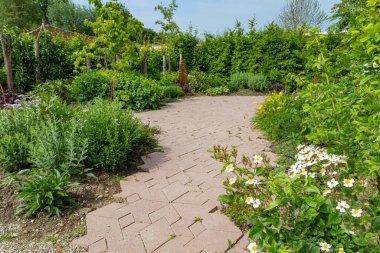 Basit bahçe tasarımı