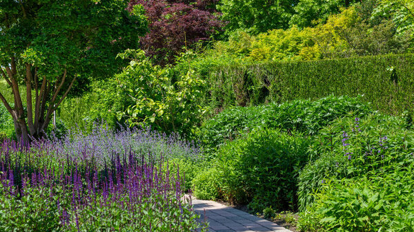 Цветной дизайн летнего сада
