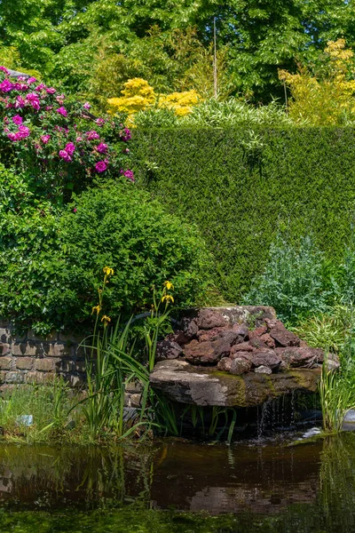 Colorido diseño de jardín de verano —  Fotos de Stock