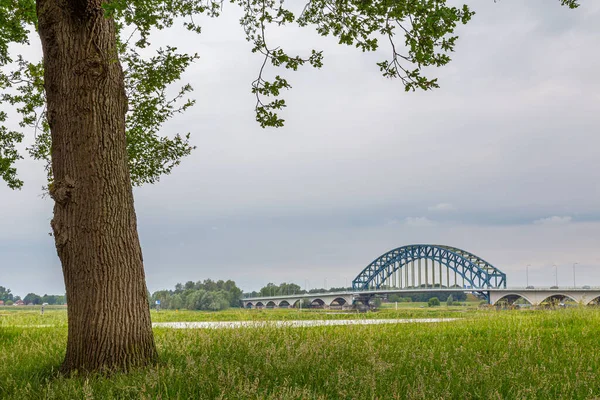 IJssel Bridge Zwolle, Países Baixos — Fotografia de Stock