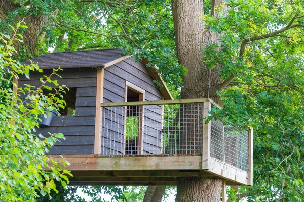 Cabina ad albero con vista — Foto Stock