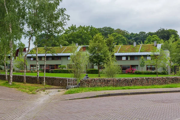 Fenntartható holland külvárosi házak — Stock Fotó
