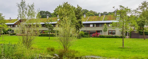 Sustainable Dutch suburb houses — Stock Photo, Image