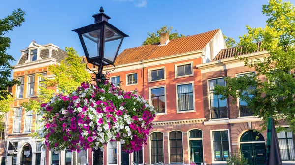 Flowers in Leiden, Netherlands — Stock Photo, Image