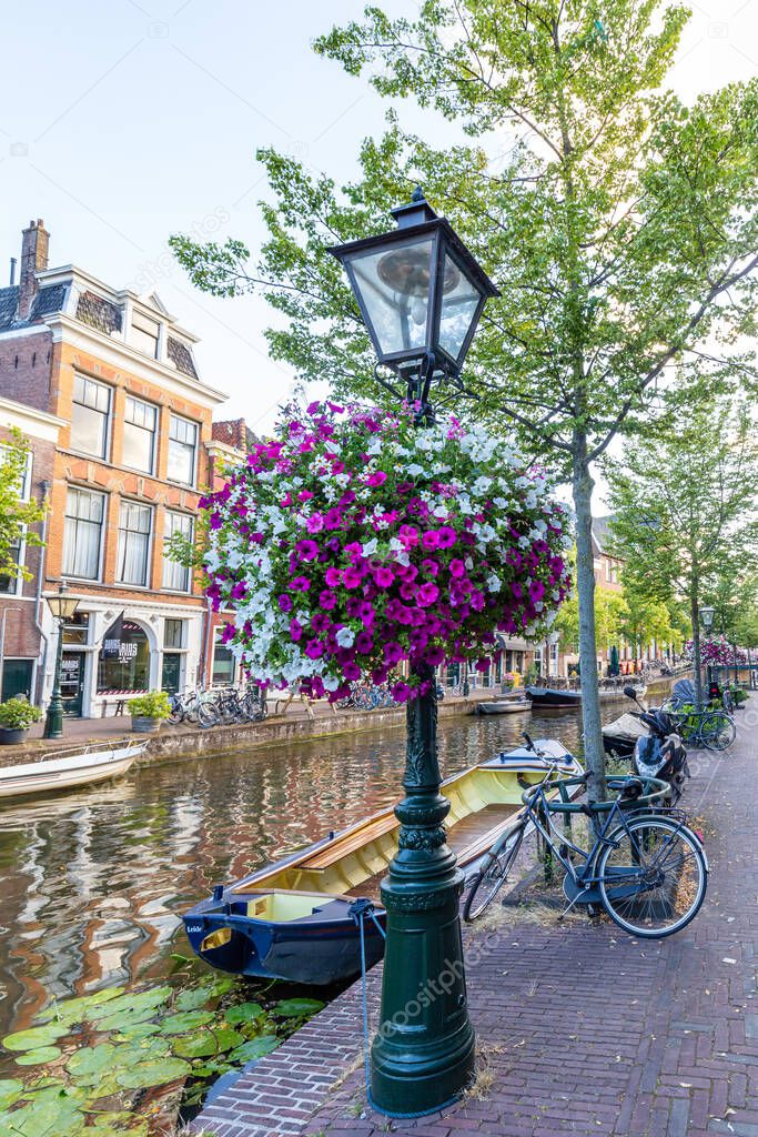 Flowers in Leiden, Netherlands