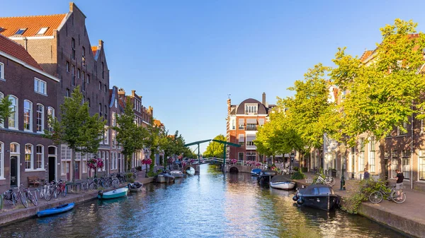 Krajobraz miejski Stary Ren Leiden Holandia — Zdjęcie stockowe
