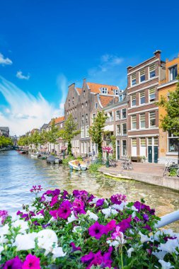 Şehir manzarası Leiden Hollanda