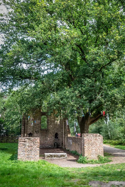 Ruiny Saint Walrick Overasselt Holandia — Zdjęcie stockowe
