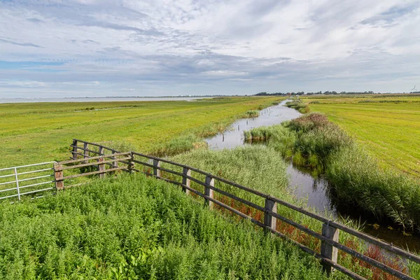 Warkumerwaard Friesland Nederland — Stockfoto