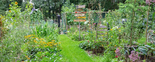 Kleurrijke gezellige kleine tuin — Stockfoto