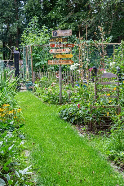 Барвистий затишний маленький сад — стокове фото