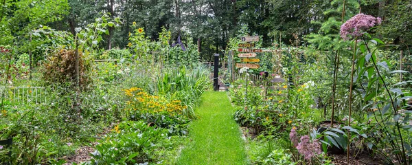 Kleurrijke gezellige kleine tuin — Stockfoto