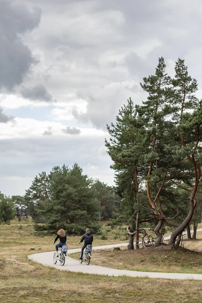 Parque nacional Hoge Veluwe, Otterlo, Países Baixos — Fotografia de Stock