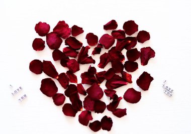 Kırmızı gül yapraklarından yapılmış bir kalp. Beyaz arka plandaki küplerde seni seviyorum.