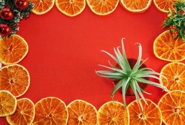 Kırmızı arkaplanda kurumuş turuncu çerçeve. Mesaj için boşluk. Yukarıdan görüntü. kopyalama alanı. Yukarıdan manzara. anahtar el hediyesi