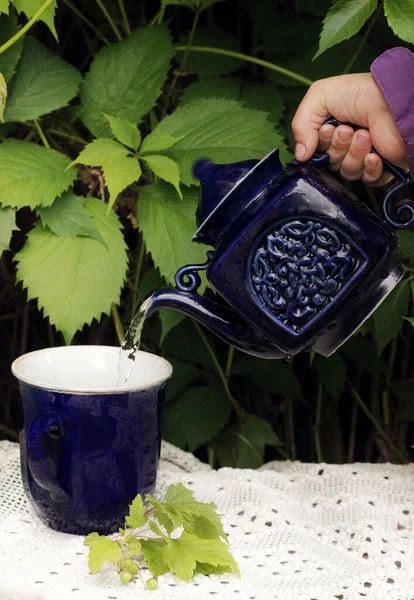 Eller çaydanlığı tutar ve mavi bir kaba su döker.