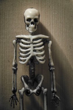 Ahşap zemin üzerinde iskelet heykel