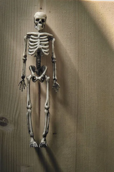 Esqueleto Estatueta Fundo Madeira — Fotografia de Stock