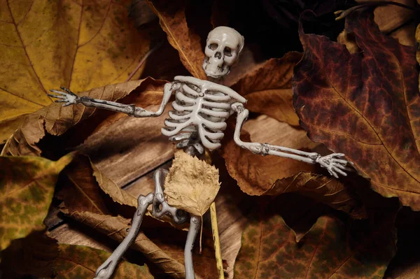 Figura Del Esqueleto Encuentra Hojas Secas Cenizas Montaña Composición Halloween —  Fotos de Stock