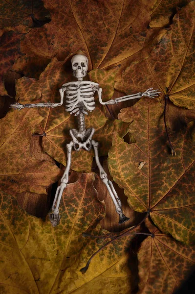 Figura Del Esqueleto Encuentra Hojas Secas Cenizas Montaña Composición Halloween — Foto de Stock
