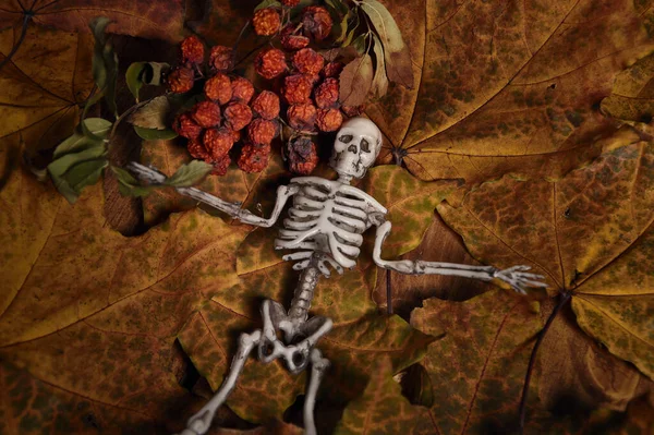 Figura Esqueleto Encontra Folhas Secas Cinza Montanha Composição Halloween — Fotografia de Stock