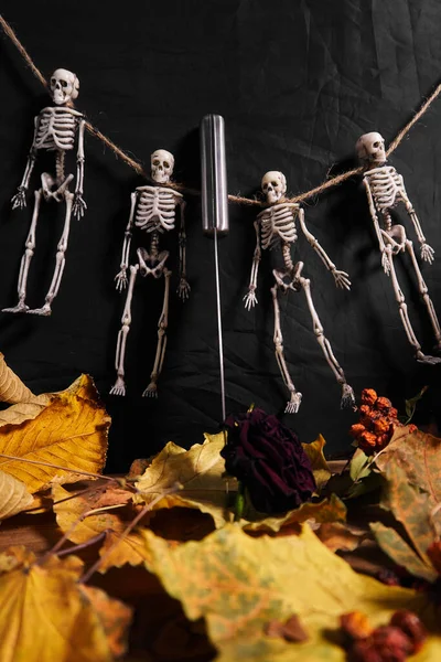 Guirnalda Esqueleto Que Cuelga Sobre Las Hojas Cuchillo — Foto de Stock