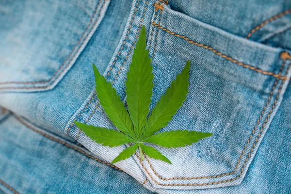 Green hemp leaf on a denim background. Medical herb. Horizontal photo — Stock Photo, Image