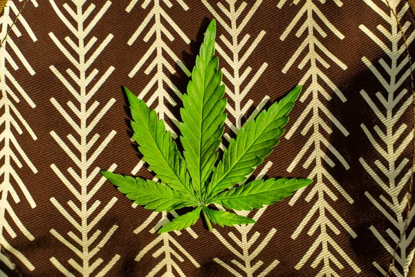 Green hemp leaf on a brown background with patterns. Medical herb. — Stock Photo, Image