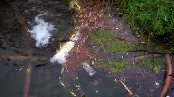 Eine Quelle entspringt in einem verstreuten Gewässer in einem öffentlichen Park. — Stockvideo