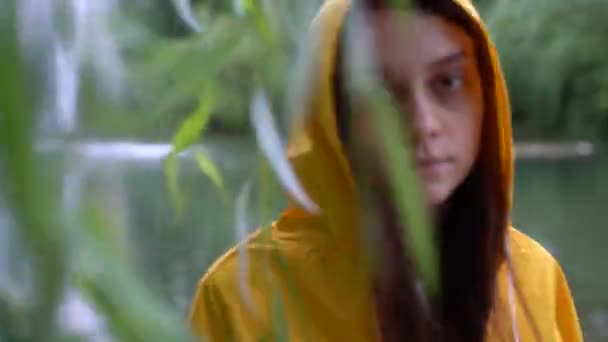 Девушка в жёлтом плаще прячется в ивовых листьях. Таинственная картина — стоковое видео