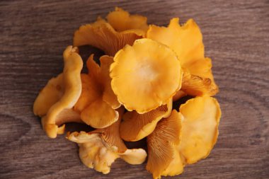 Taze orman Chanterelle mantarları ahşap bir masada, yakın görüş.