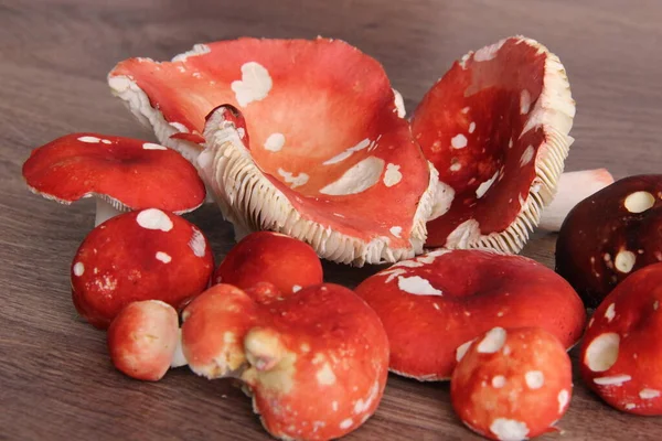 Cogumelos Florestais Crus Vermelhos Uma Mesa Madeira — Fotografia de Stock