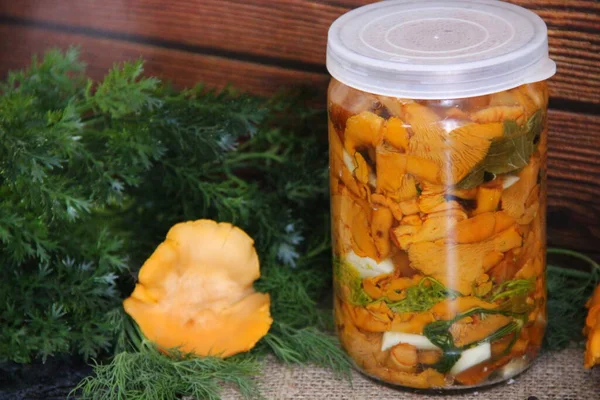 在绿叶和蘑菇的背景上放有咸味长柄的罐子 — 图库照片