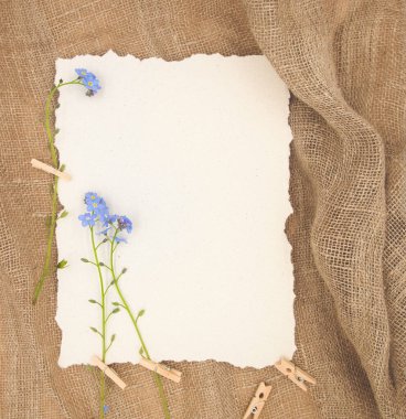 Kırsal kahverengi çuval bezi arkaplanındaki mavi yumuşak unutma beni çiçeği ve metin için boş fotokopi alanı olan beyaz kağıt. Kart, davetiye veya düğün dekorasyonu için tasarım şablonunu hazırla