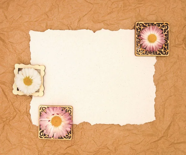 Anbud tusensköna blomma i små träramar på rustik brun naturligt papper bakgrund och vitt papper med fri tom kopia utrymme för text. Mall för utformning av kort, inbjudningar eller bröllopsinredning. — Stockfoto