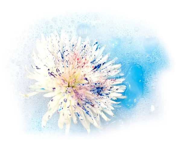 白を基調とした泡状の水の中に 青いピンク紫色の塗料の花を咲かせます スパ広告 天然シャンプー石鹸洗浄パウダーパッケージのためのデザイン要素 — ストック写真
