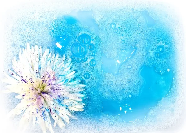 Τρυφερό Λευκό Αστραφτερό Λουλούδι Μπλε Ροζ Μωβ Χρώμα Πιτσιλιές Που — Φωτογραφία Αρχείου