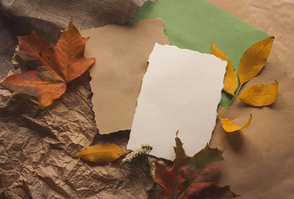 Ősz ősz lapos feküdt felső nézet kompozíció. Sárga juharfalevelek és fehér kézműves természetes barna papírdarab. A kompozíció ingyenes üres másolási hely szöveg. Plakátokhoz, kártyákhoz — Stock Fotó