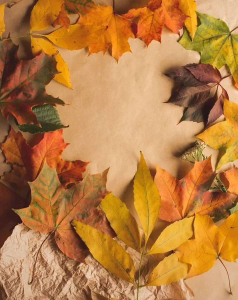 Jesień jesień płaski leżał skład górny widok. Żółte, czerwone i pomarańczowe liście klonu i rzemiosło naturalny brązowy papier. Kompozycja z wolną przestrzenią do kopiowania tekstu. Na plakaty, kartki — Zdjęcie stockowe