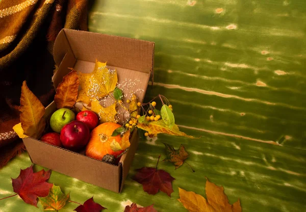 Autumn fall Halloween Thanksgiving season special post delivery box with fruits and vegetables apples pumpkin maple leaves and other decoration. Free blank copy space for text — Stock Photo, Image