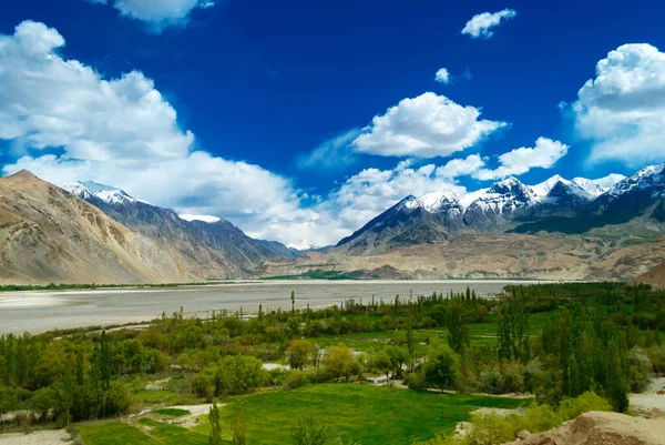 Beau Paysage Printemps Pakistan Montagnes Forêt Rivière Dans Vallée Journée — Photo