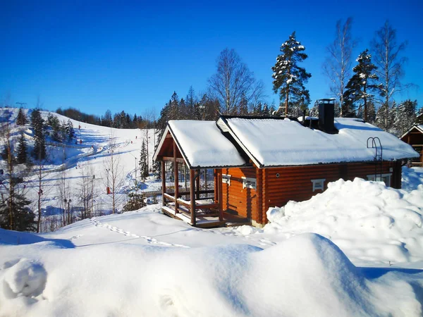 Tradycyjny Wiejski Dom Zimą Finlandii Drewniany Dom Śniegu Pobliżu Zielonych — Zdjęcie stockowe