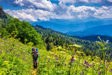 Sırt çantalı gezgin dışarıda dinleniyor ve arka planda yeşil tepeler var. Yaz tatilleri ve yaşam tarzı yürüyüş konsepti. Alp çayırları