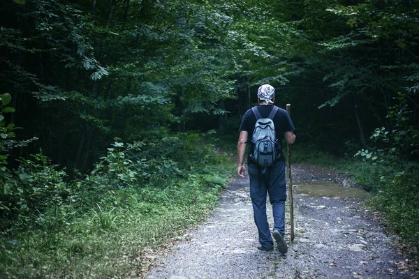 Mouton Ormanı 'nda yürüyen yürüyüş ekipmanlı bir adam.