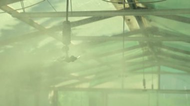 Seranın içindeki su sistemi. Serada sulama işlemi.