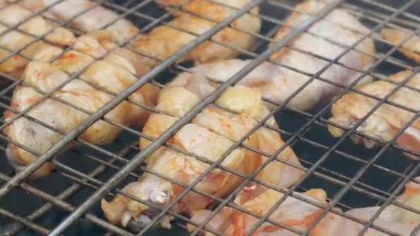 Grilované kuře. Grilované kuřecí stehna, stehna s česnekem, citrónem a rozmarýnem na grilu. Grill food — Stock video