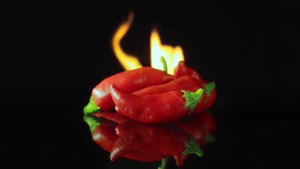 Pimentas vermelhas quentes em chamas em um fundo preto. Conceito de comida picante — Vídeo de Stock