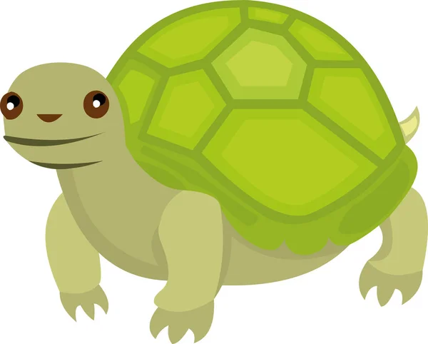 Ilustración Vectorial Una Caricatura Tortuga — Vector de stock