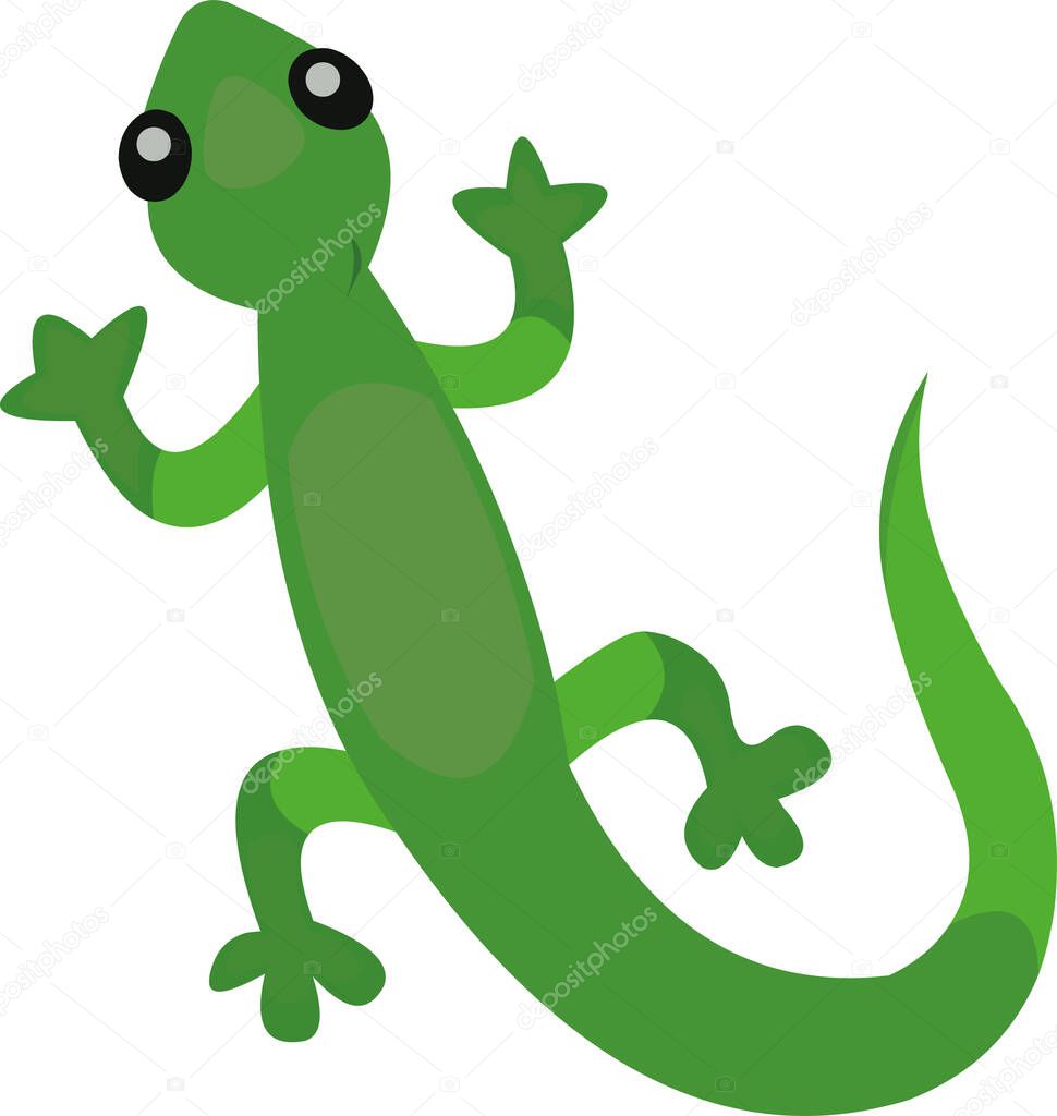 Vector illustration of a lizard