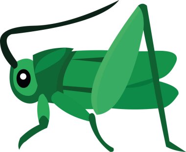 Çekirge çizgi filminin vektör çizimi